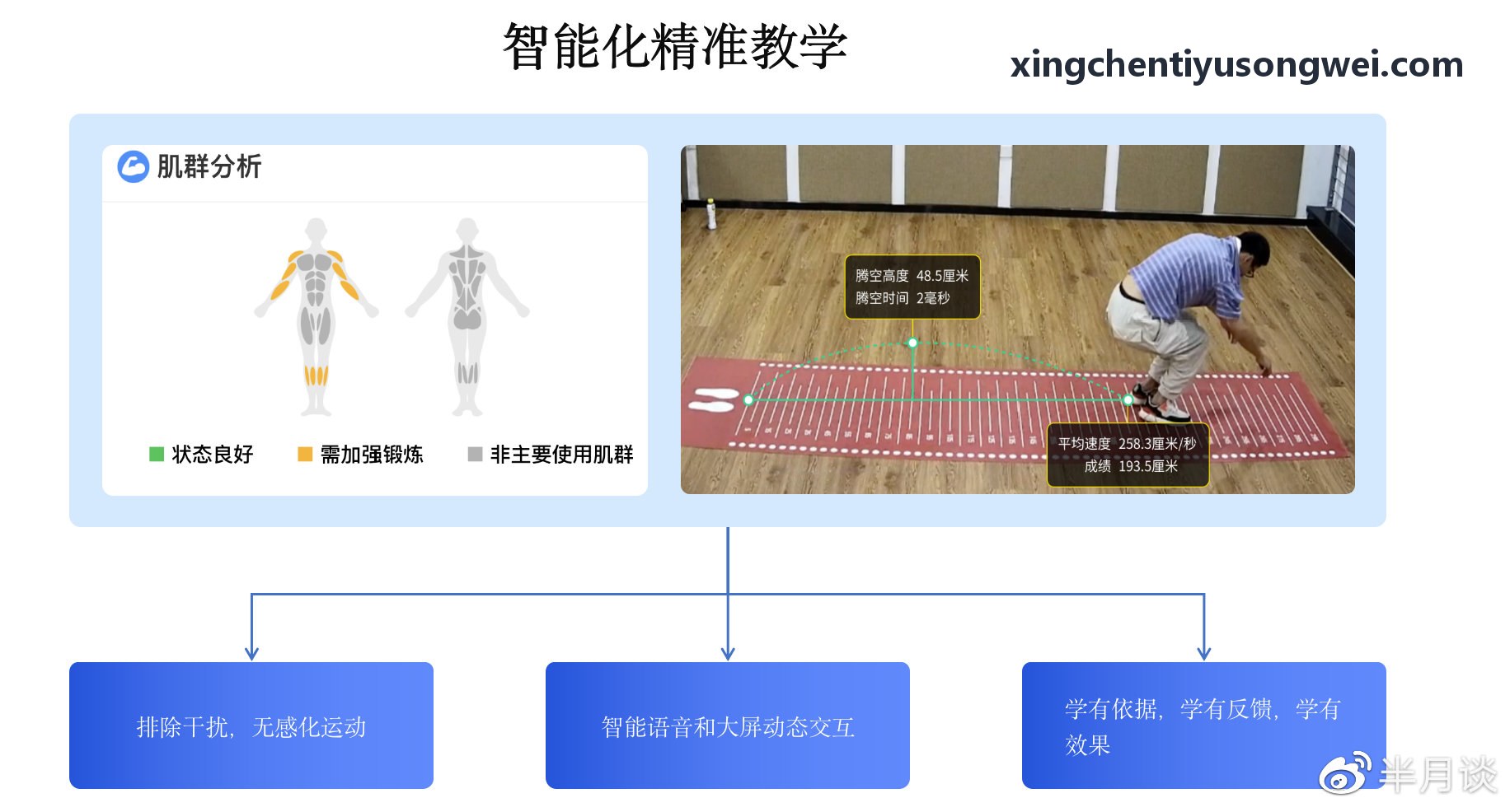 XINGCHENTIYU伤病预测算法研究